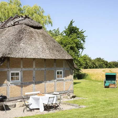 Urgemuetliche Reetdachkate Mit Grossem Kamin Und Sauna