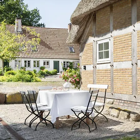 Urgemuetliche Reetdachkate Mit Grossem Kamin Und Sauna Pommerby (Gelting)